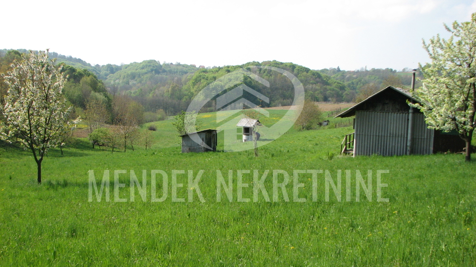 Zemlji&scaron;&ccaron;e&comma; 14000 m2&comma; Prodaja&comma; Selnica