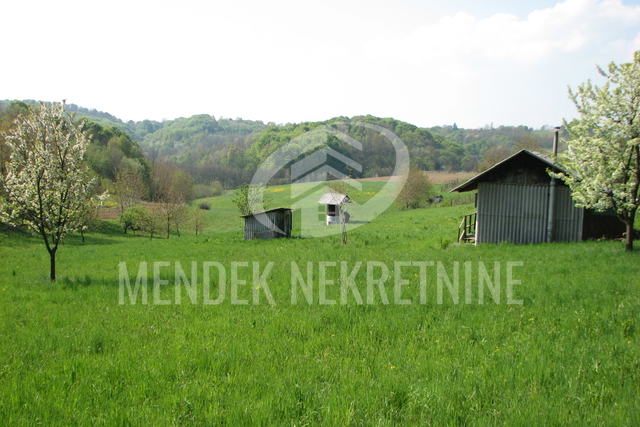 Zemljišče, 14000 m2, Prodaja, Selnica