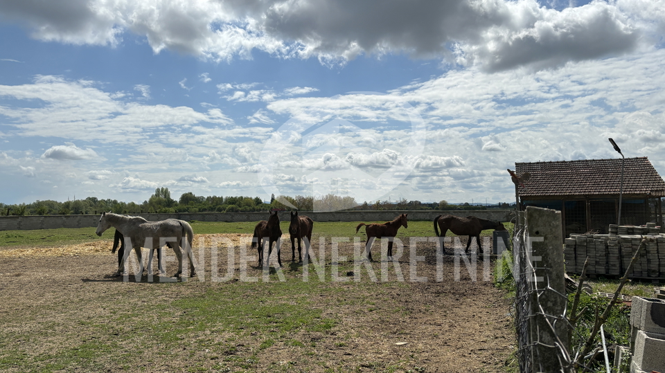 Casa&comma; 7600 m2&comma; Vendita&comma; Vara&zcaron;din - Texas