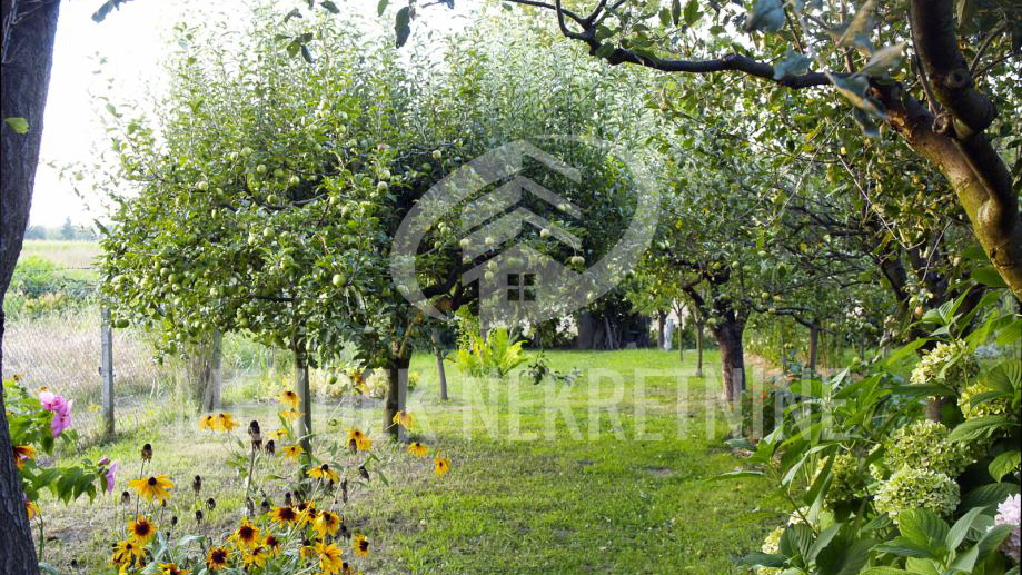 Hi&scaron;a&comma; 27 m2&comma; Prodaja&comma; Nedeli&scaron;&cacute;e