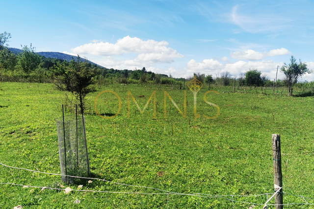 Prodaje se mješovito zemljište u Plaškom – 82.924 m²