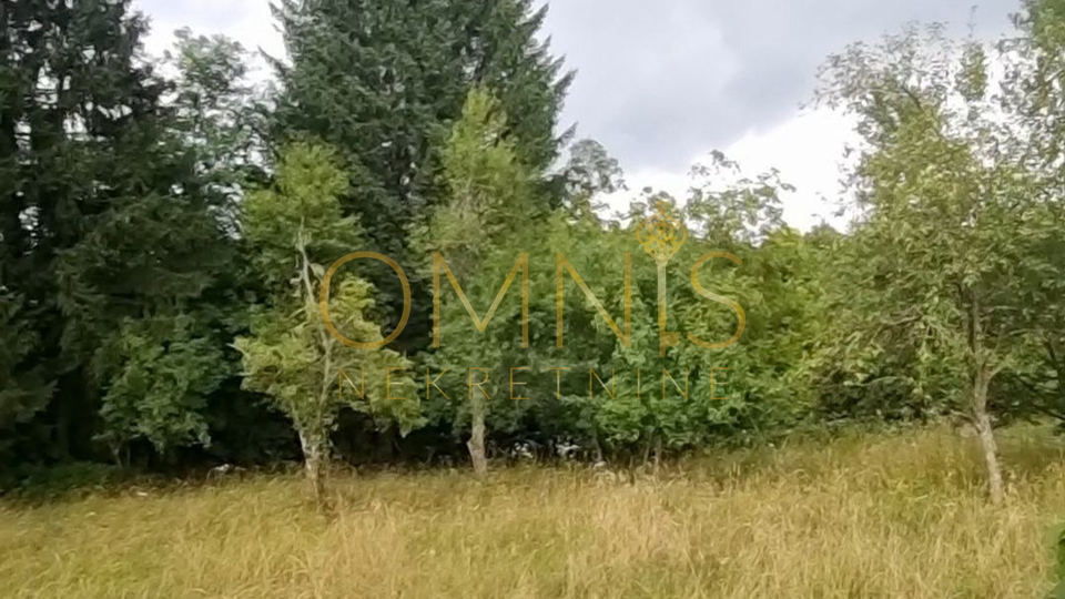 Gorski Kotar,Vrbovsko-dvije građevinske parcele s projektima i starom kućom,prodaja!