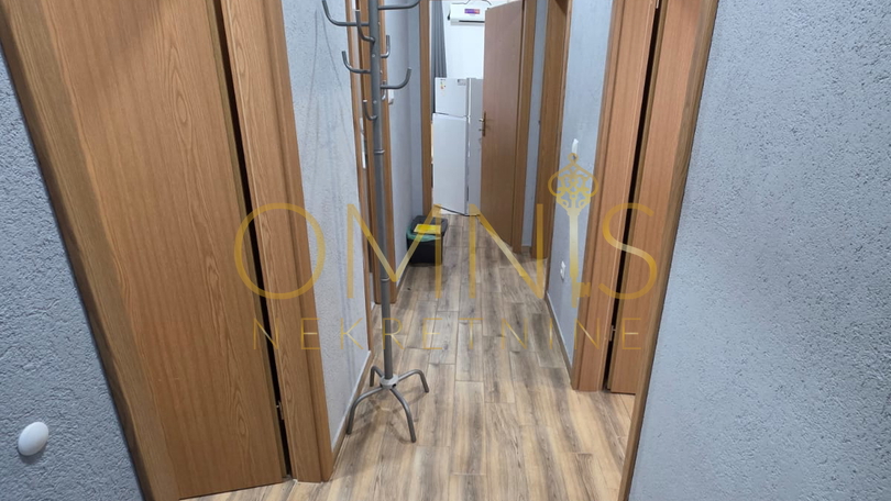Rijeka, Centar, 3S+DB najam stana, pet friendly!