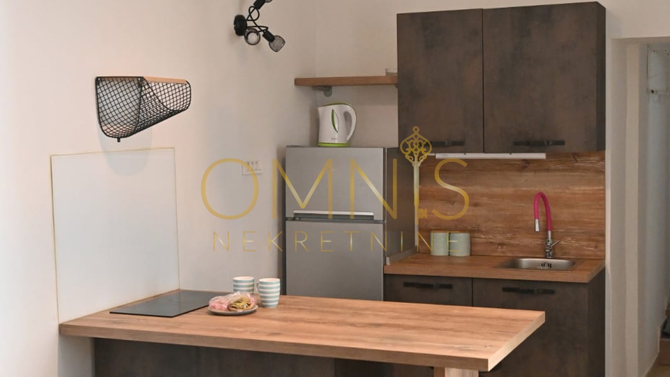 Rijeka, Center, 1BR+LR, available for long-term rent.