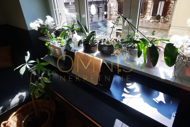 Rijeka, Centar 2S+DB, svi su dobrodošli, pet friendly, najam!