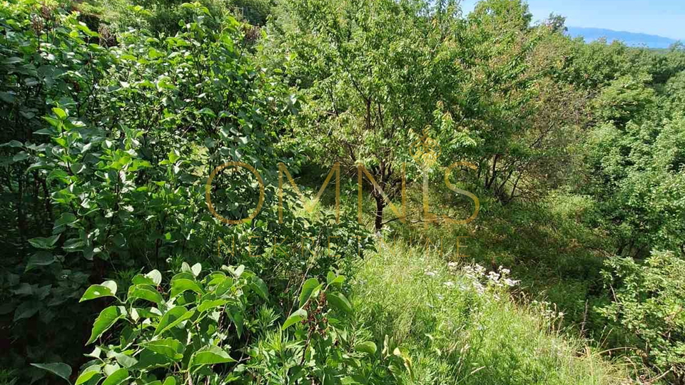 Viškovo, Saršoni - Villa with Pool and Sea View, 2 Garages, Large Yard, Garden, Orchard, for Sale!