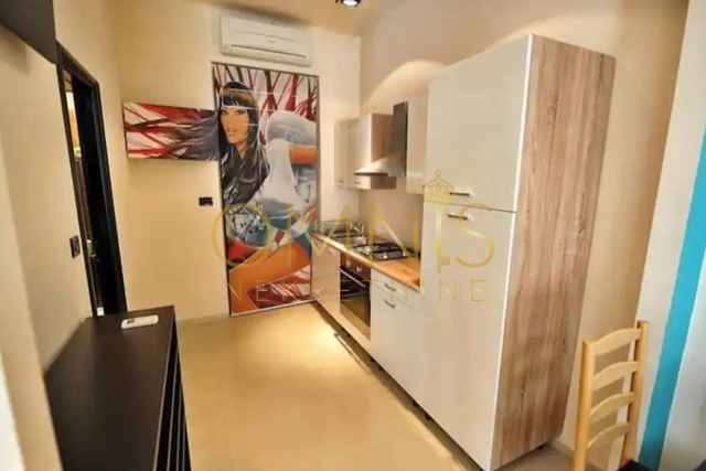 Rijeka, Turnić -garsonjera s terasom, pet friendly, najam!
