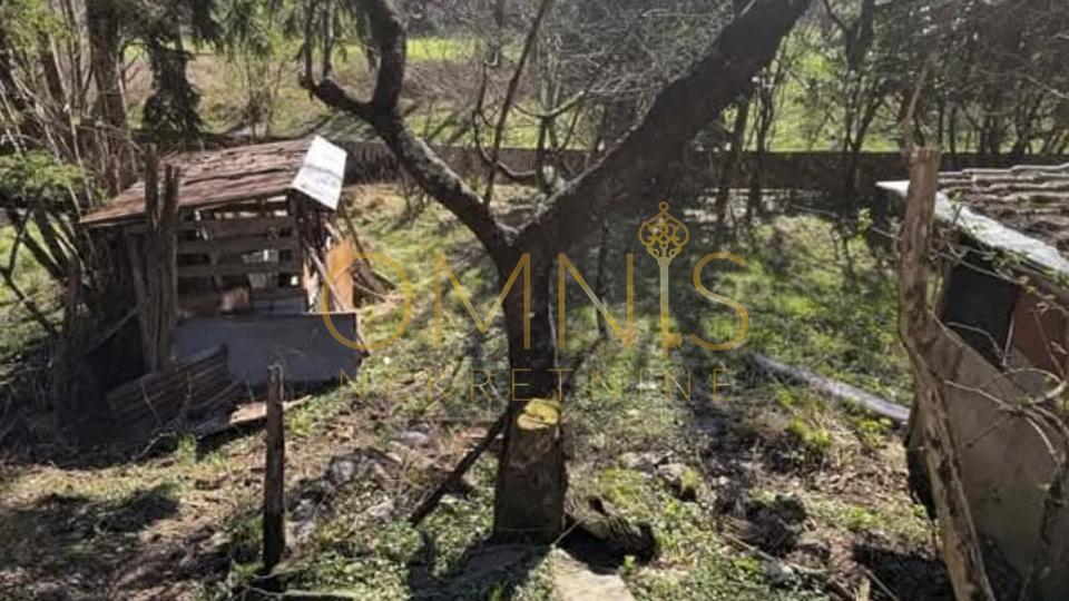 Klana,1780m2,starina za adaptaciju(100m2)Prodaja!