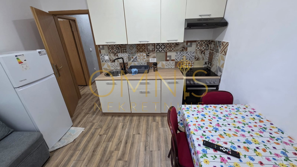 Rijeka, Centar, 3S+DB najam stana, pet friendly!