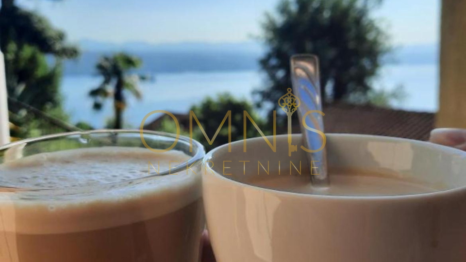 OPATIJA- stan , 1s + DB, ODLIČNO UREĐEN!!