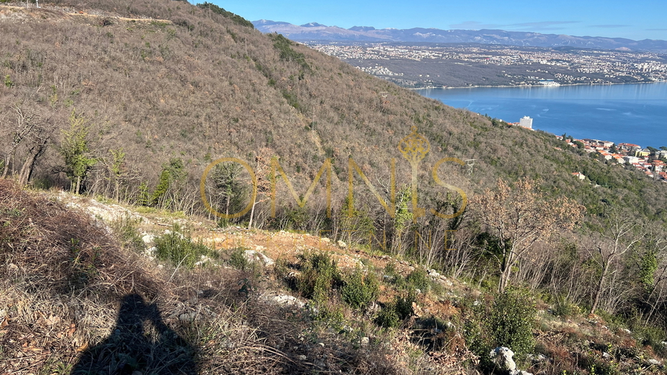 VEPRINAC, KOLAVIĆI- građ. zemljište, 1017 m2, PANORAMSKI POGLED NA MORE!!!