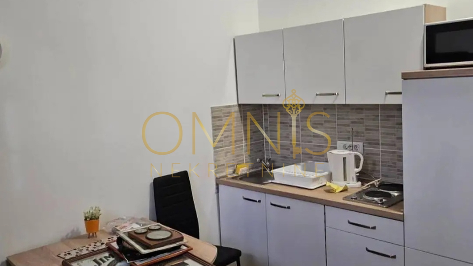 Rijeka,Centar - studio apartnman, pet friendly, najam s uključenim režijama!