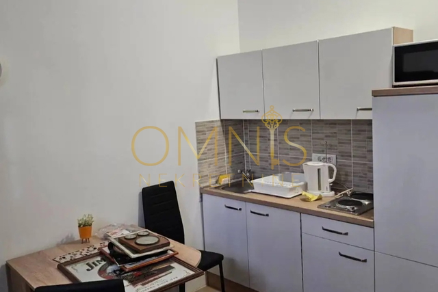 Rijeka,Centar - studio apartnman, pet friendly, najam s uključenim režijama!