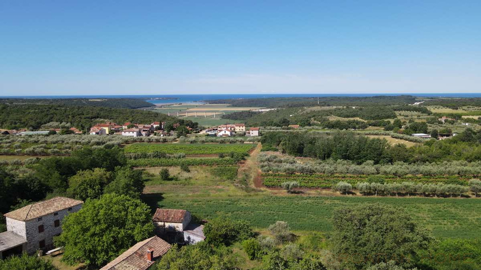 Mediterrane Luxusvilla mit Pool und atemberaubenden Blick in die Natur und ins Gr&uuml;ne