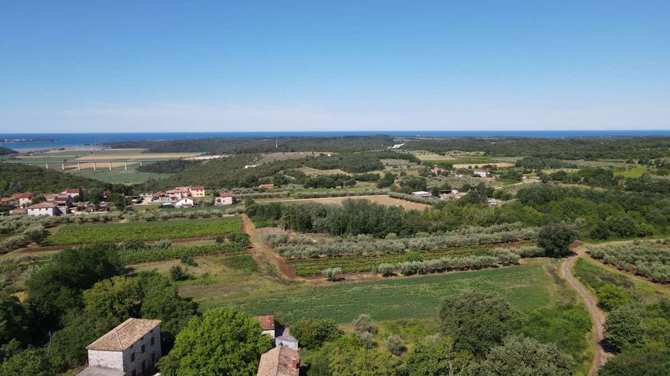 Mediterrane Luxusvilla mit Pool und atemberaubenden Blick in die Natur und ins Gr&uuml;ne