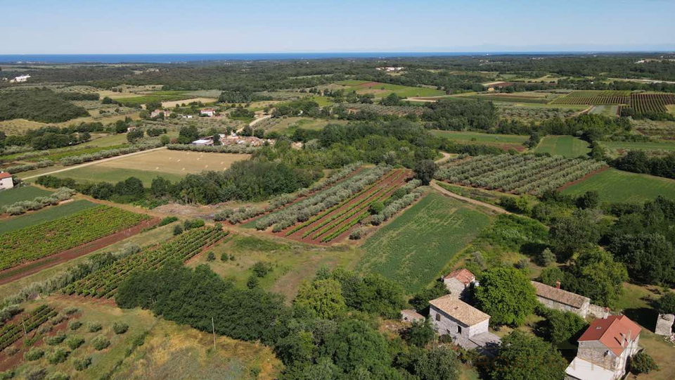 Mediterrane Luxusvilla mit Pool und atemberaubenden Blick in die Natur und ins Gr&uuml;ne