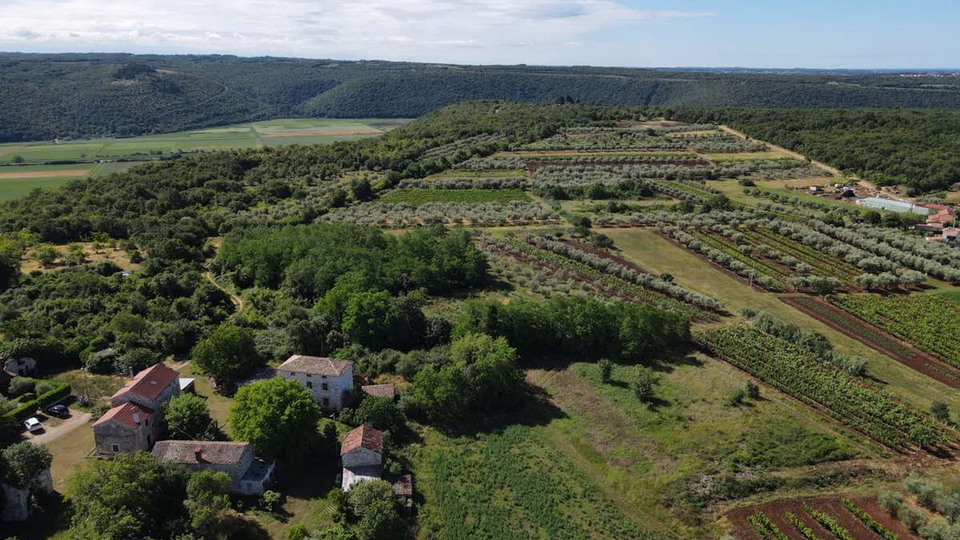 Mediterrane Luxusvilla mit Pool und atemberaubenden Blick in die Natur und ins Gr&uuml;ne