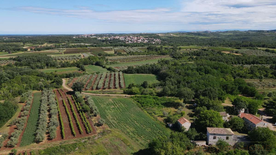 Mediterrane Luxusvilla mit Pool und atemberaubenden Blick in die Natur und ins Gr&uuml;ne