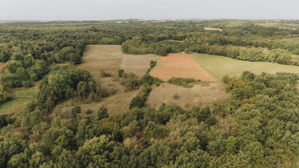Premium-Villa nahe Pore&ccaron; &plus; 5&period;500 m&sup2; Zusatzgrundst&uuml;ck f&uuml;r Sport & Freizeit &lpar;beantragte Umwidmung&rpar;