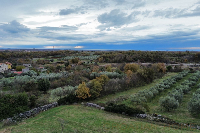 BAULAND MIT MEERBLICK MIT OLIVEN