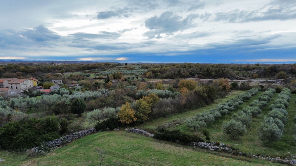 BAULAND MIT MEERBLICK MIT OLIVEN