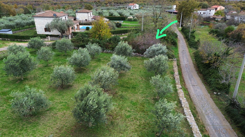 BAULAND MIT MEERBLICK MIT OLIVEN