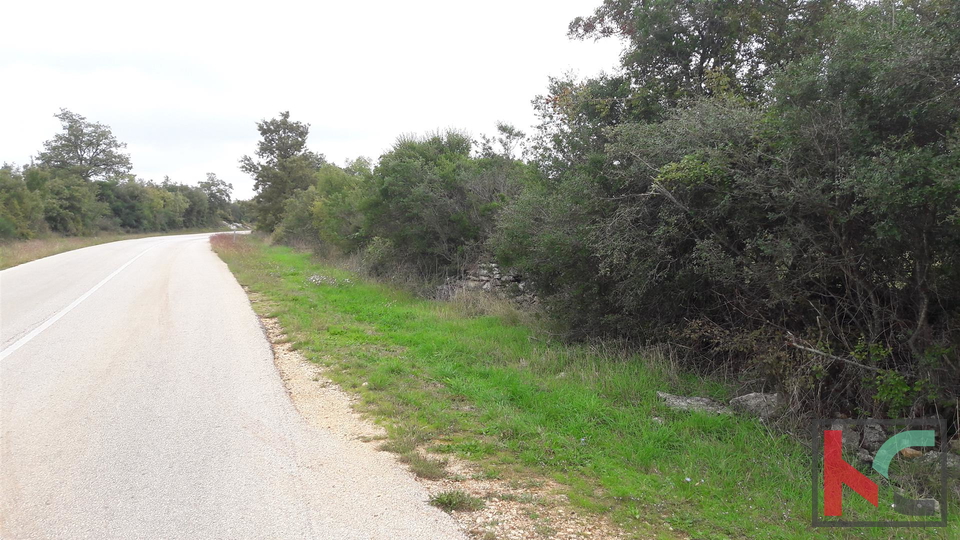 Bale, terreno agricolo 16169m2, uliveto con vista sul mare