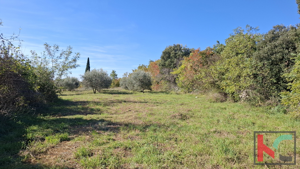 ISTRA&comma; RAKALJ&comma; ATTRACTIVE CONSTRUCTION AND AGRICULTURAL LAND 2422 m2 &num;FOR SALE