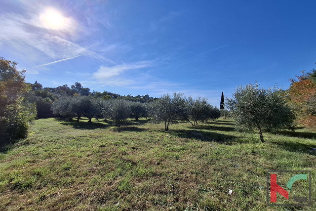 ISTRA, RAKALJ, ATRAKTIVNO GRAĐEVINSKO I POLJOPRIVREDNO ZEMLJIŠTE 2422 m2  #PRODAJA