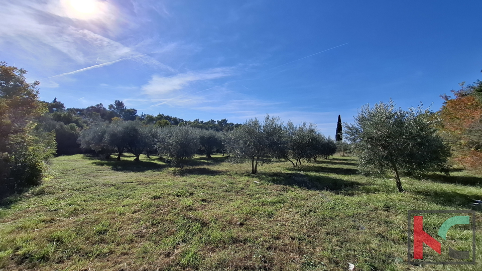 ISTRA&comma; RAKALJ&comma; ATTRACTIVE CONSTRUCTION AND AGRICULTURAL LAND 2422 m2 &num;FOR SALE