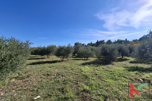 ISTRA, RAKALJ, ATRAKTIVNO GRAĐEVINSKO I POLJOPRIVREDNO ZEMLJIŠTE 2422 m2  #PRODAJA