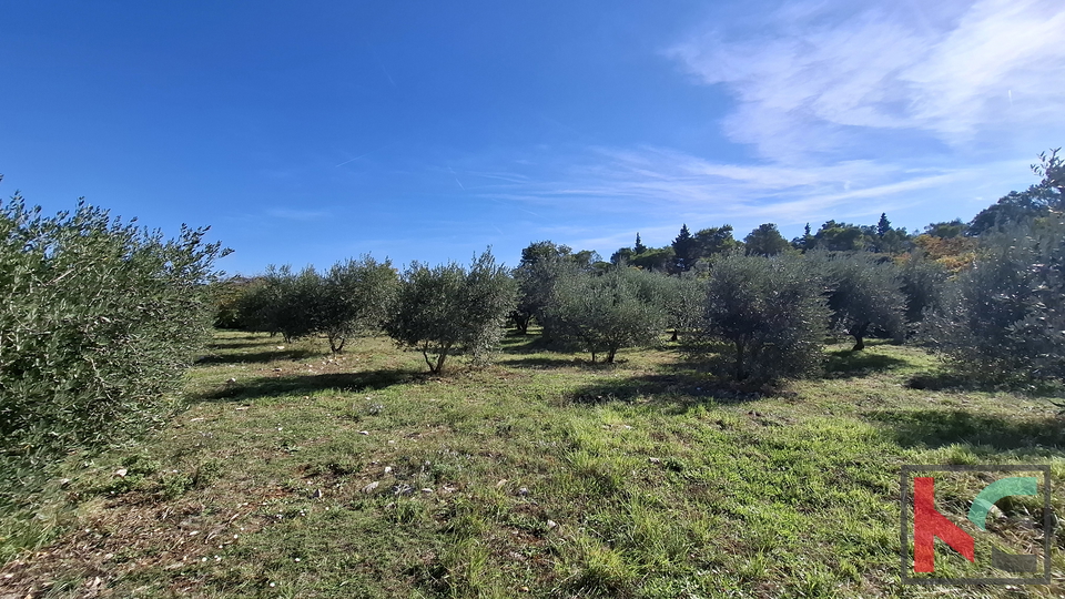 ISTRA&comma; RAKALJ&comma; ATTRACTIVE CONSTRUCTION AND AGRICULTURAL LAND 2422 m2 &num;FOR SALE