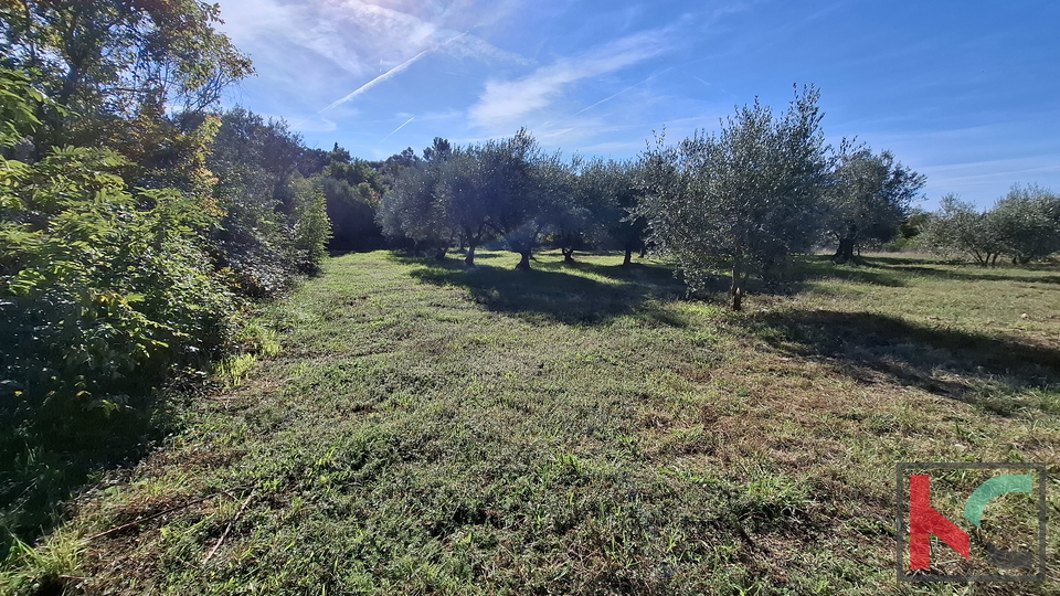 ISTRA&comma; RAKALJ&comma; ATTRACTIVE CONSTRUCTION AND AGRICULTURAL LAND 2422 m2 &num;FOR SALE