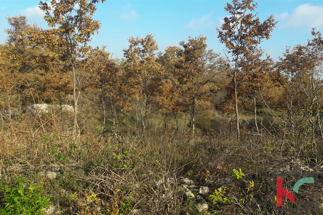 Svetvinčenat, Juršići građevinsko zemljište 1782m2