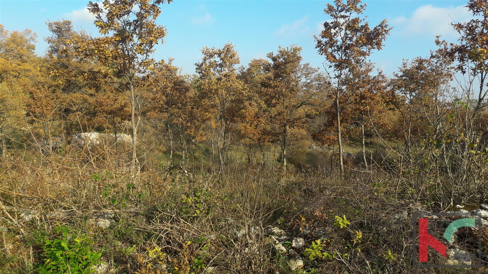 Svetvincenat, Juršići Baugrundstück 1782m2