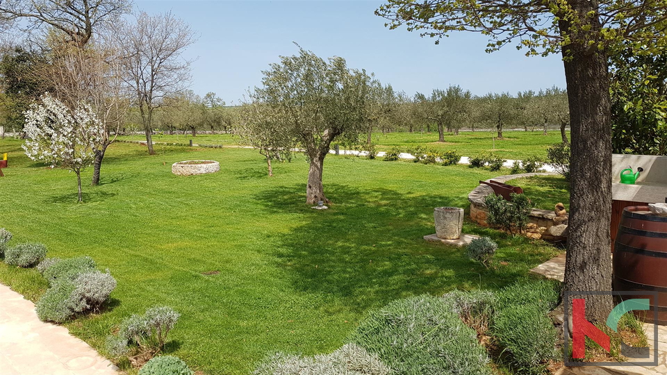 Bale una villa attraente con quattro stelle in stile rurale istriano circondato da una grande proprietà recintata di 30.550 m2.