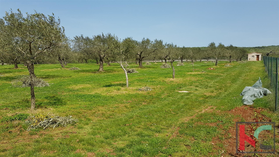 Bale una villa attraente con quattro stelle in stile rurale istriano circondato da una grande proprietà recintata di 30.550 m2.