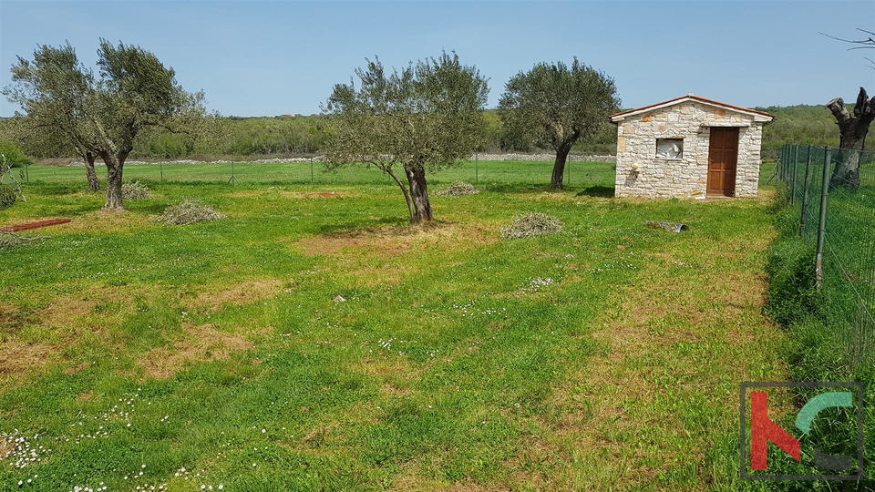 Bale una villa attraente con quattro stelle in stile rurale istriano circondato da una grande proprietà recintata di 30.550 m2.