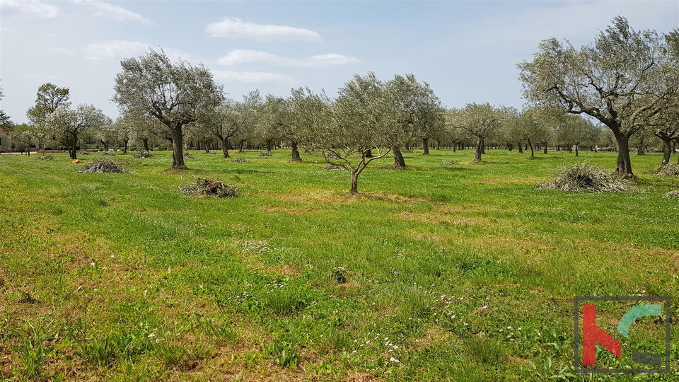 Bale una villa attraente con quattro stelle in stile rurale istriano circondato da una grande proprietà recintata di 30.550 m2.