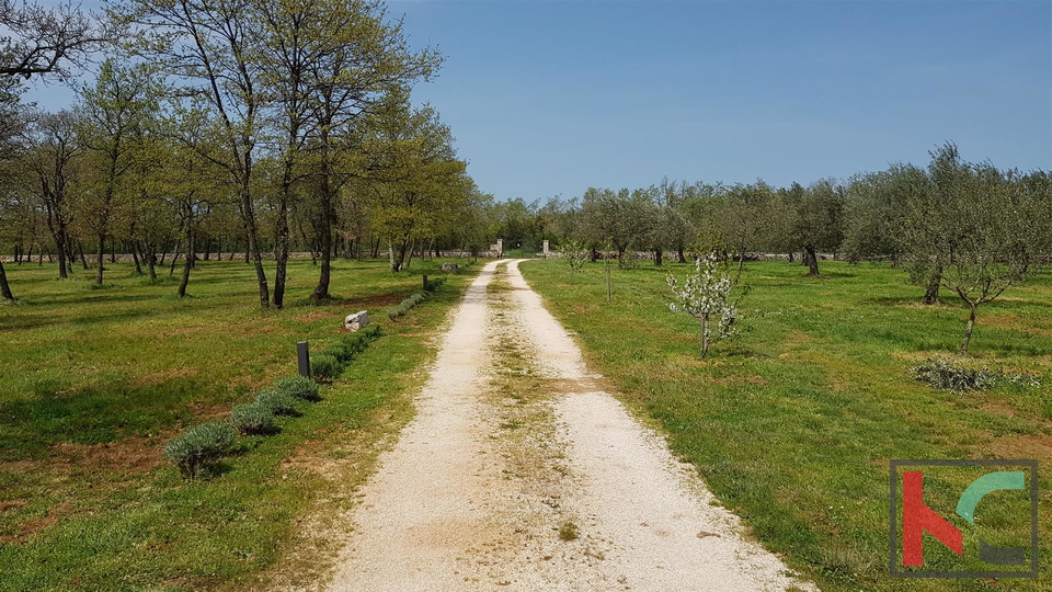 Bale una villa attraente con quattro stelle in stile rurale istriano circondato da una grande proprietà recintata di 30.550 m2.