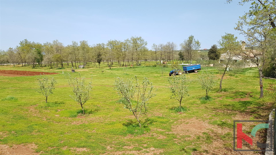 Bale una villa attraente con quattro stelle in stile rurale istriano circondato da una grande proprietà recintata di 30.550 m2.