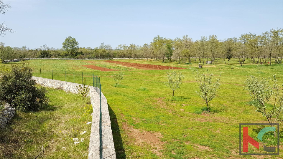 Bale una villa attraente con quattro stelle in stile rurale istriano circondato da una grande proprietà recintata di 30.550 m2.