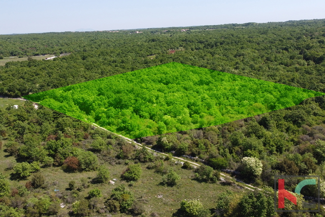 ISTRA - VODNJAN,  ZEMLJIŠTE  18.775m2, #PRODAJA