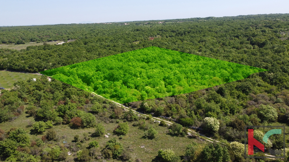 ISTRA - VODNJAN,  ZEMLJIŠTE  18.775m2, #PRODAJA