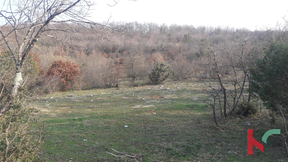 Bale, veliko poljoprivredno zemljište 101.120m2