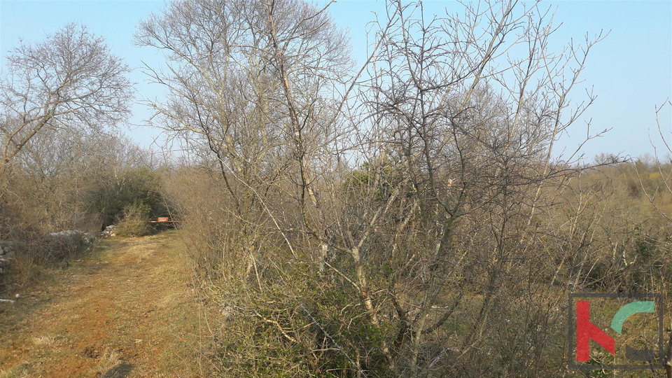 Bale, großes landwirtschaftliches Land 101.120m2