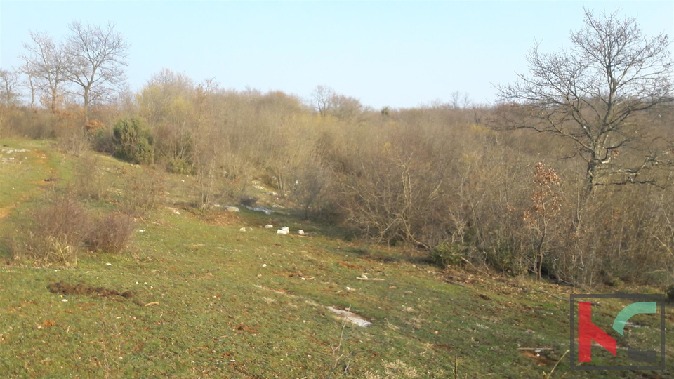 Bale, großes landwirtschaftliches Land 101.120m2