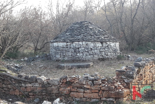 Bale, grande terreno agricolo 101.120m2