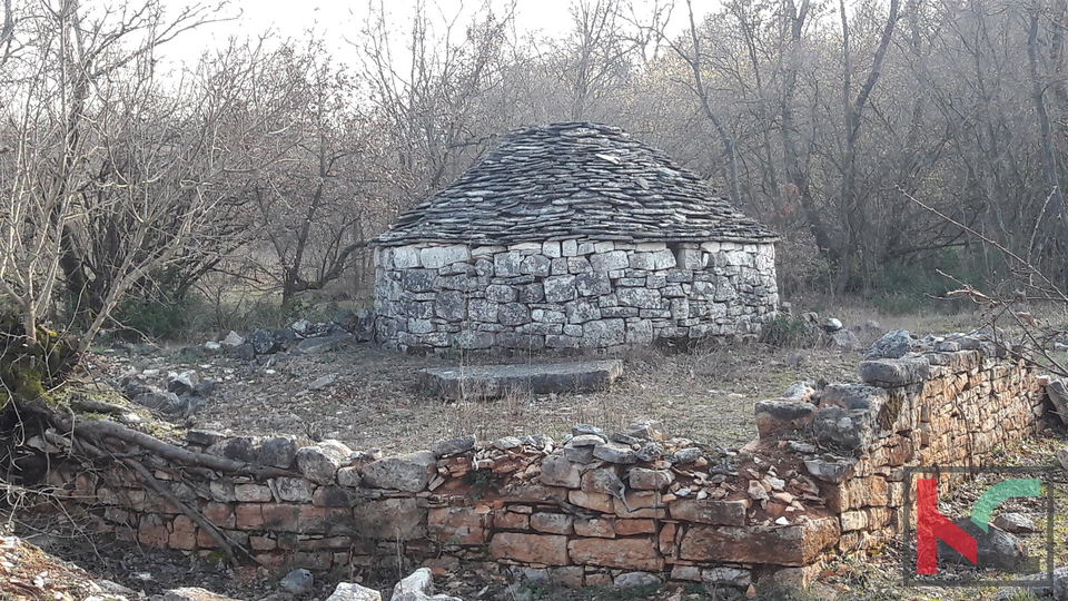 Bale, veliko poljoprivredno zemljište 101.120m2