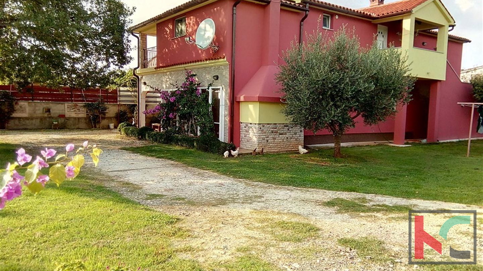 Ližnjan, Šišan, detached house 230m2 with three apartments, 900m2 garden, quiet location